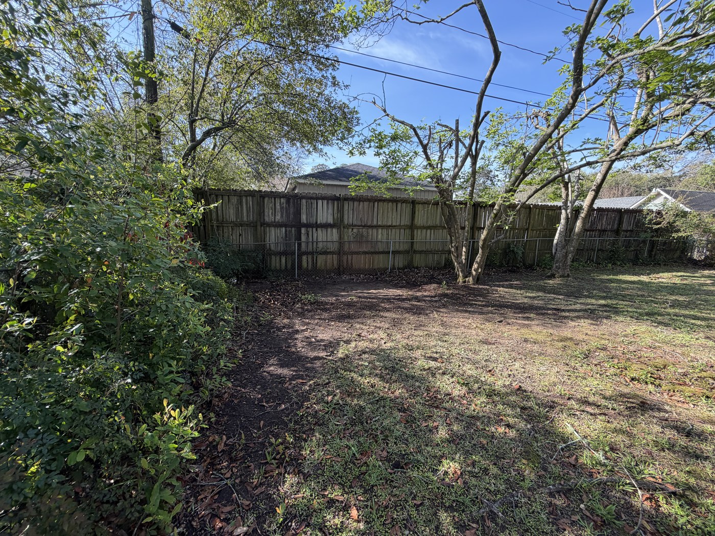 Back-Yard Cleanup after