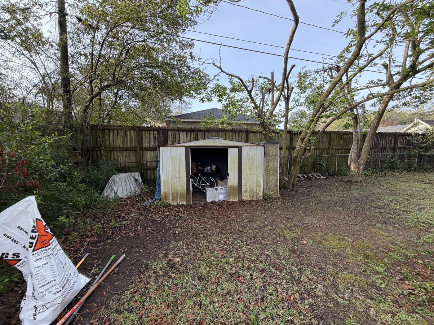 Back-Yard Cleanup before