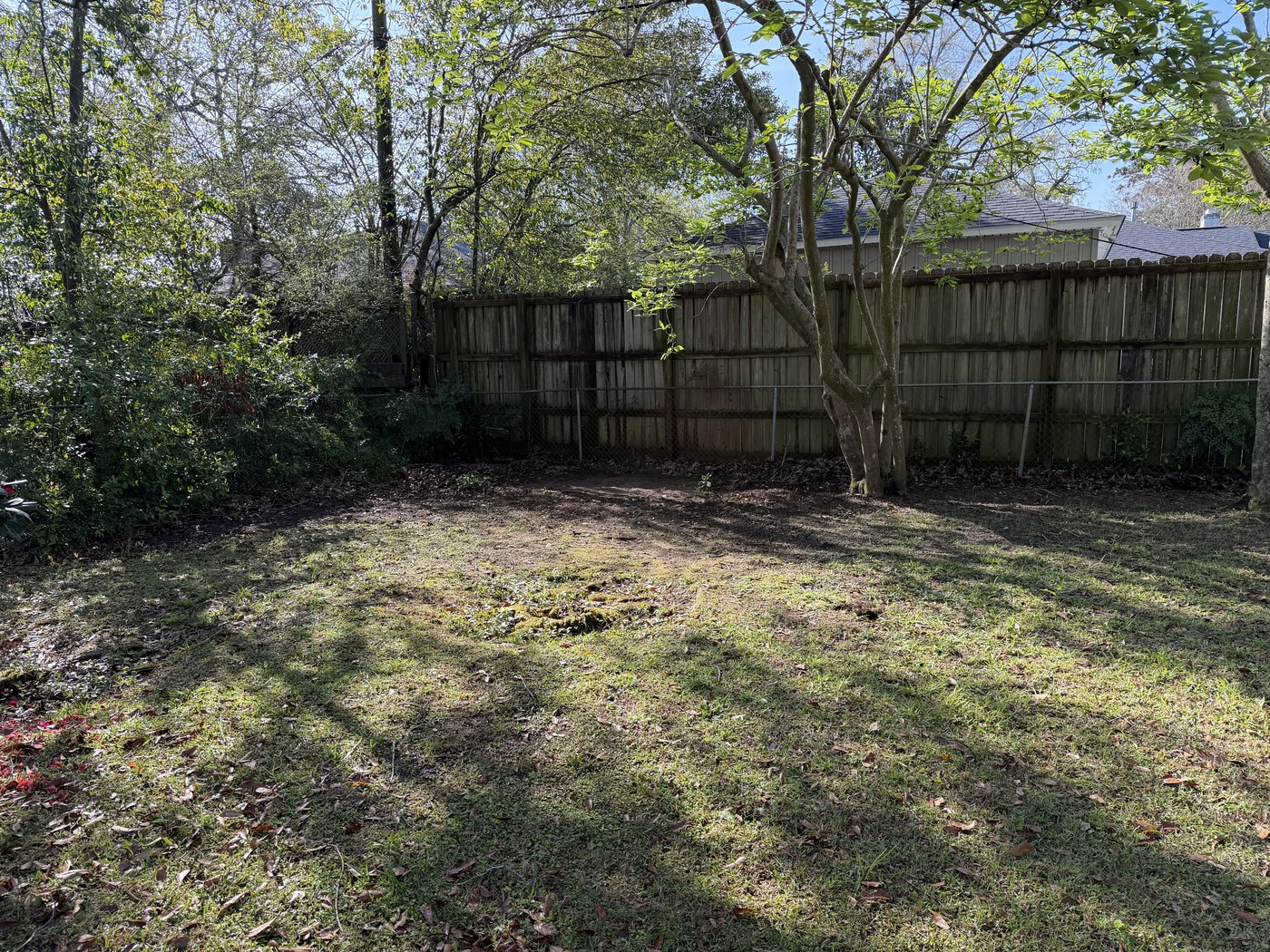 Back-Yard Cleanup after