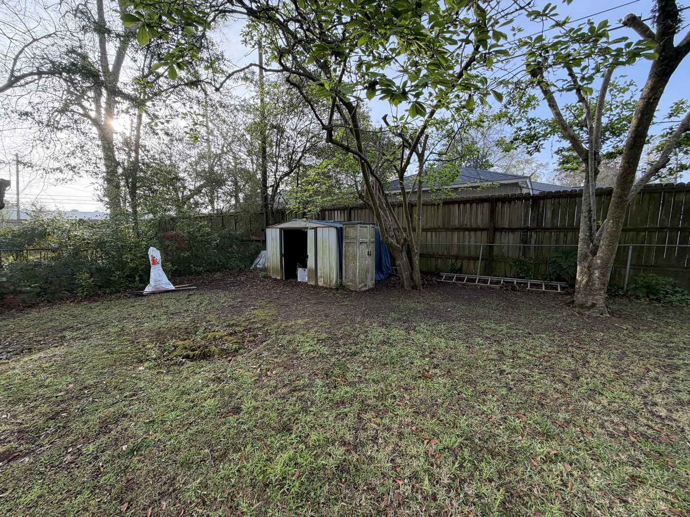 Back-Yard Cleanup before